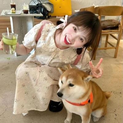 酱狗