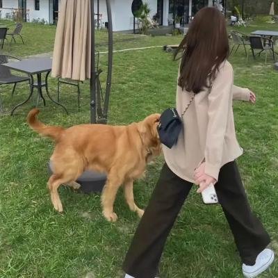 保龄争雄